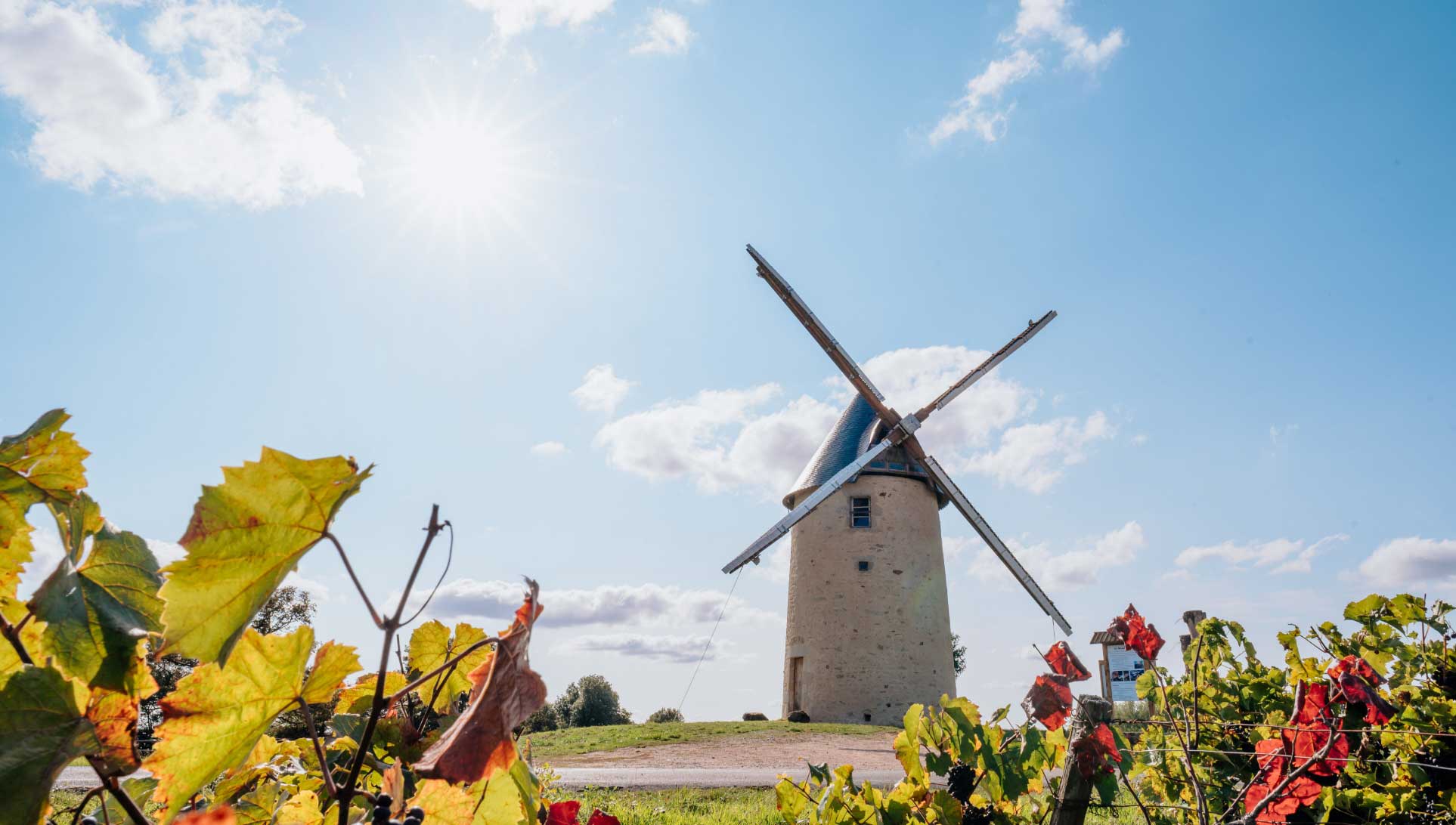 randonnées à sainte cécile