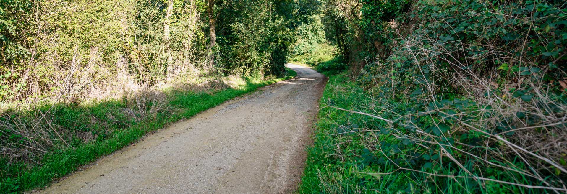 Randonnées à Sainte Cécile