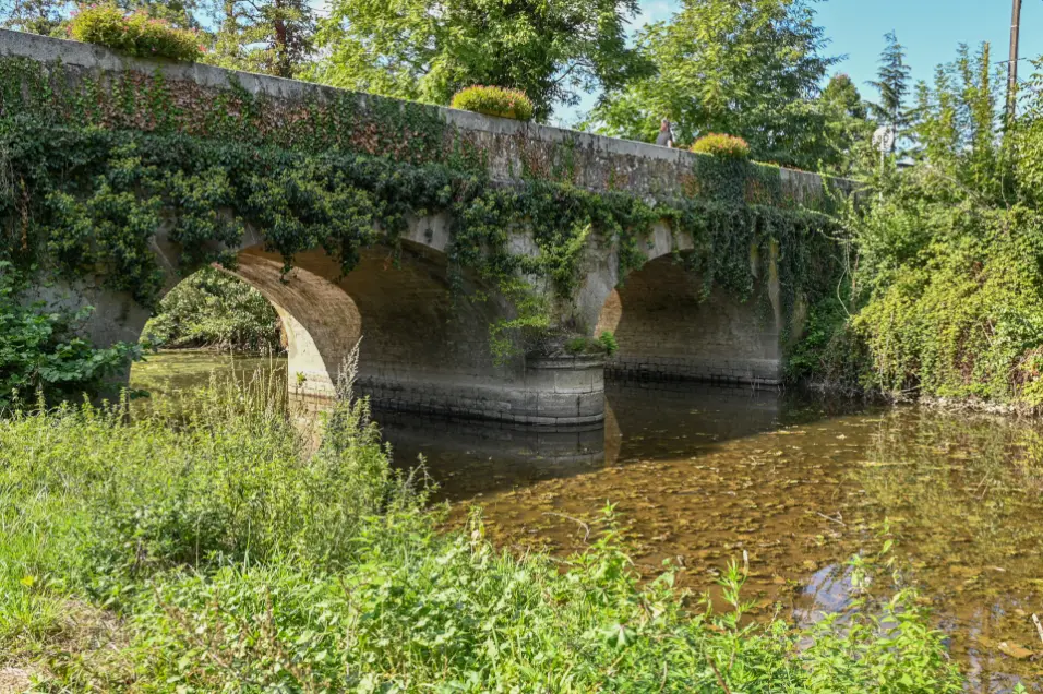 Sainte cécile en vendée