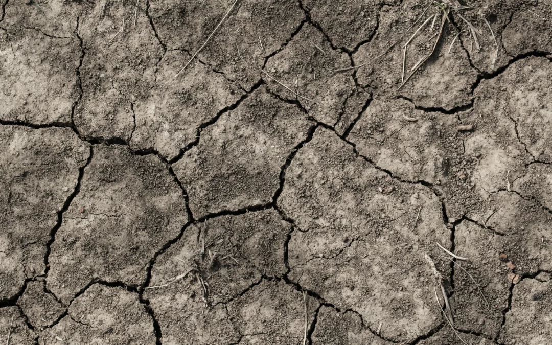 Reconnaissance catastrophe naturelle – sécheresse 2026