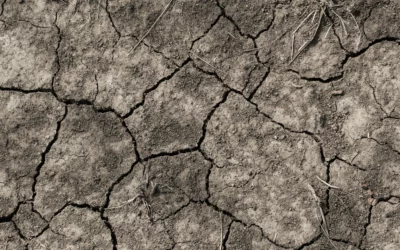 Reconnaissance catastrophe naturelle – sécheresse 2026